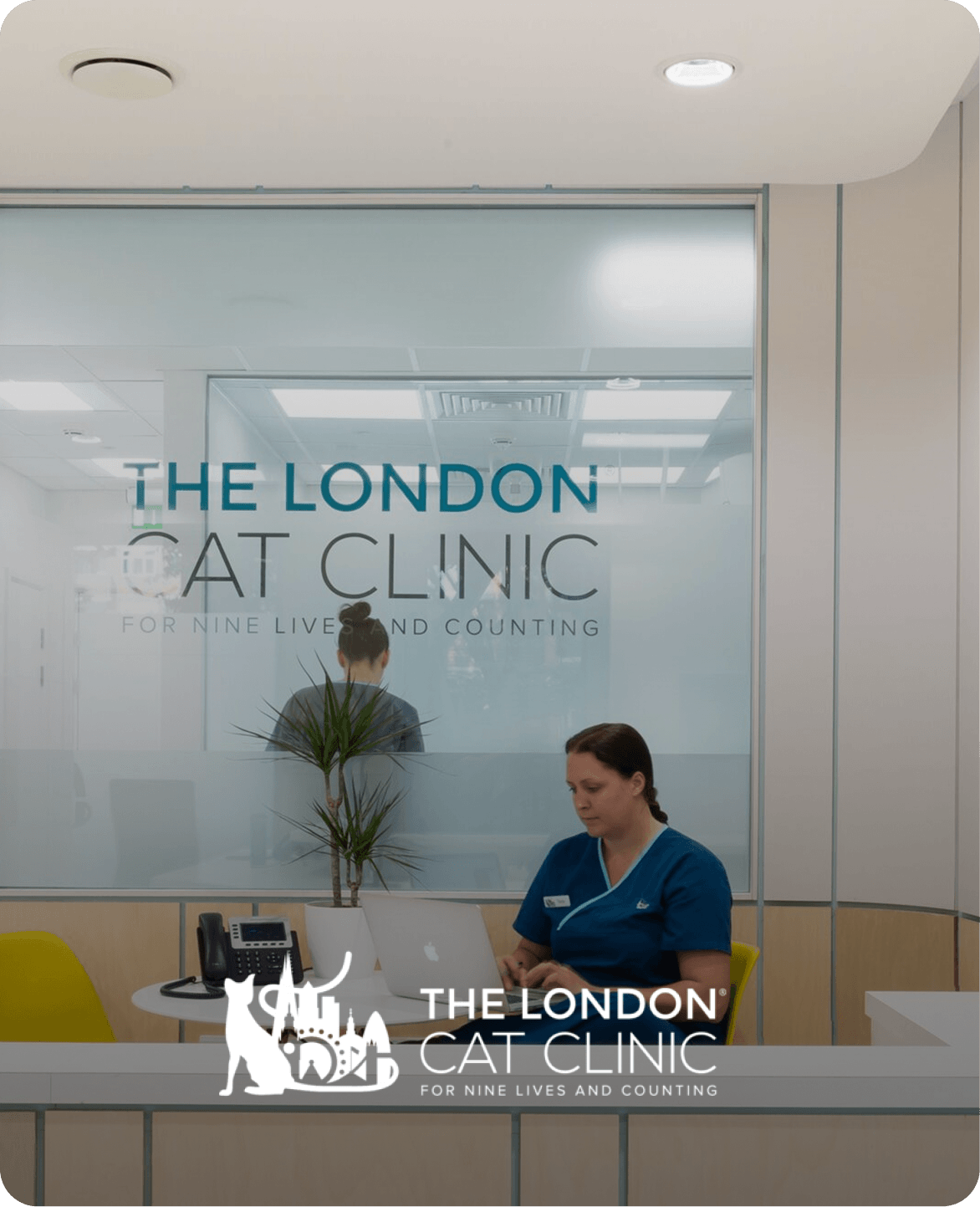 The London Cat Clinic